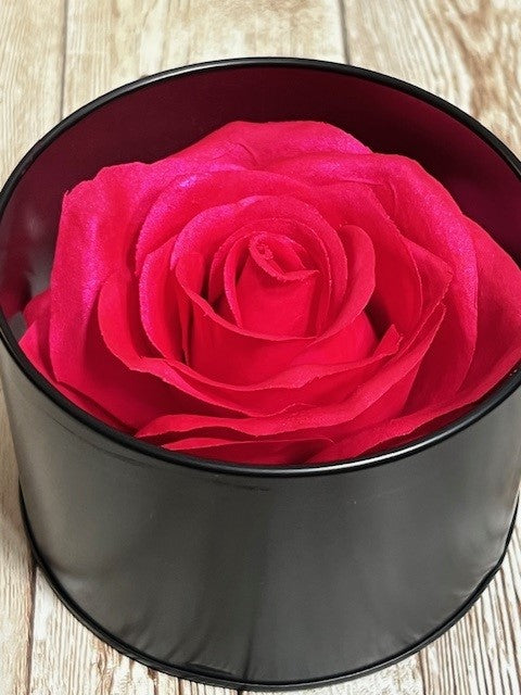 Rose Blush # 1 Bright Pink