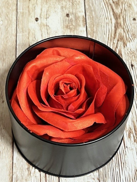 Rose Blush # 2 Sunrise