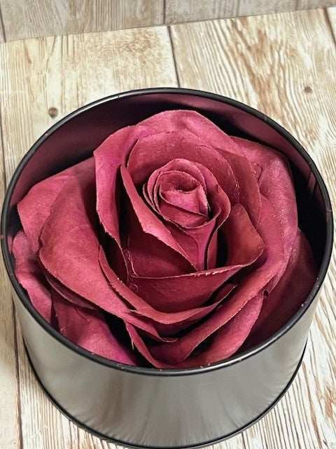 Rose Blush # 4 Purple